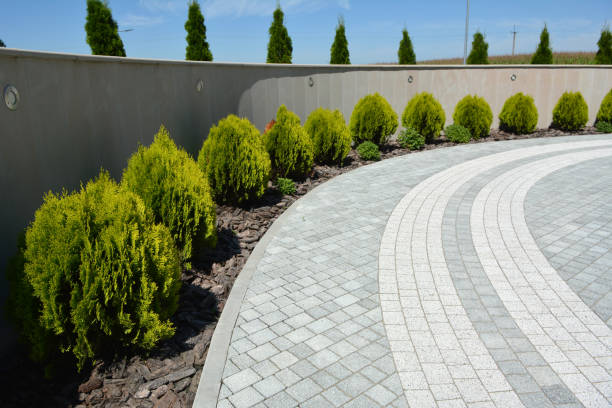 Best Local Driveway Pavers  in Kaloko, HI